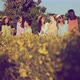 group of asian female friend woman walking in yellow blossom flower sunset moment, - VideoHive Item for Sale