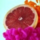 Grapefruit in the water collide with colorful ink paint - VideoHive Item for Sale