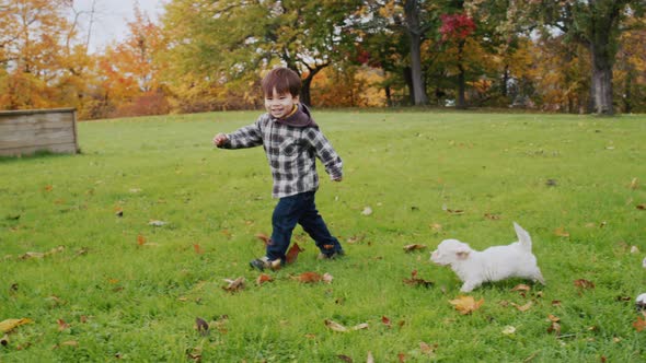 Carefree Baby Runs with His Puppies on the Green Lawn