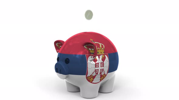 Coins Fall Into Piggy Bank Painted with Flag of Serbia alt