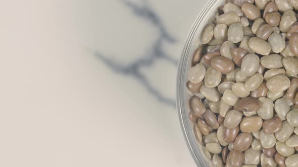 Castor Beans Bowl Rotation