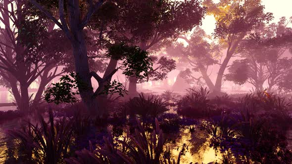 Wetland With Plants alt