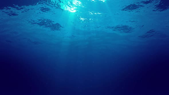 Underwater Background alt