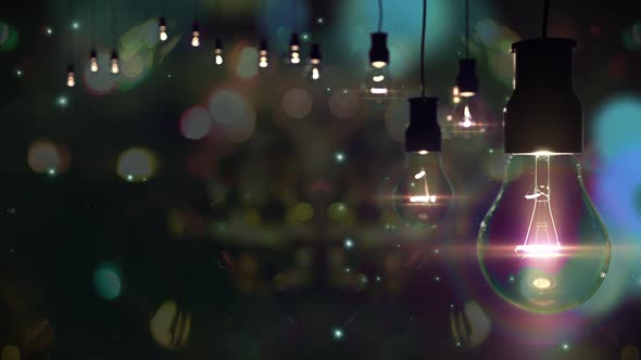 New Year Garland and Light Bulbs Against Blurred Flares on the New Year Tree