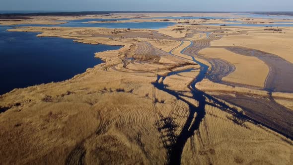 Aerial view of the lake overgrown with brown reeds, lake Pape nature park, Rucava, Latvia, sunny spr