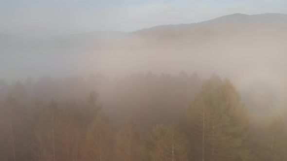 Aerial Top Drone View Above the Clouds and Sky in Wonderful Morning Sunrise Time