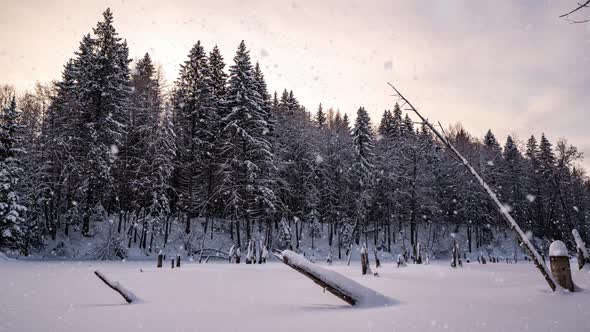 Beautiful Winter Landscape Movement of the Camera to the Left Over the Lake