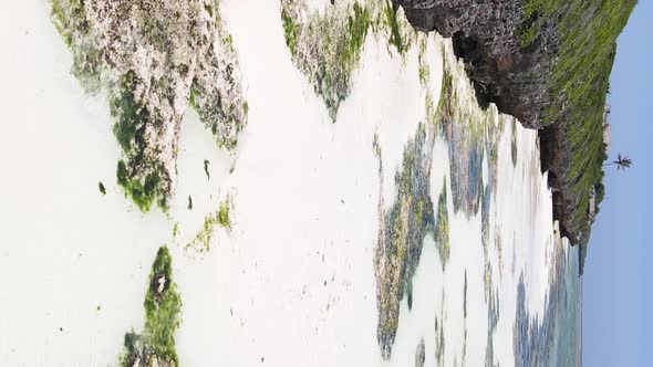 Zanzibar Tanzania  Vertical Video of Low Tide in the Ocean Near the Coast Slow Motion