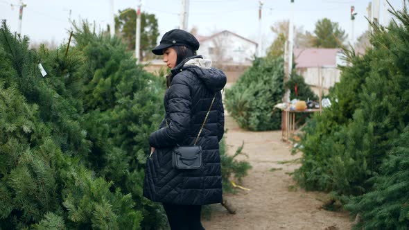 A hispanic woman shopping for a seasonal holiday Christmas tree decoration on a lot with many specie