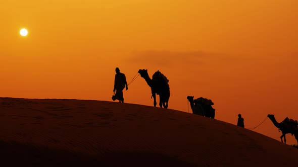 Cameleers Camel Drivers at Sunset