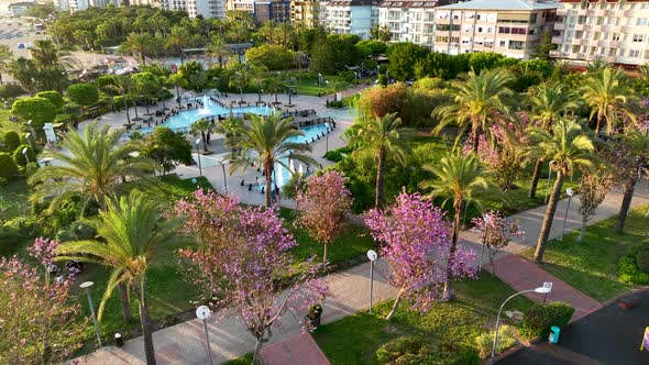 beautiful alley in the park aerial view 4 K Turkey Alanya