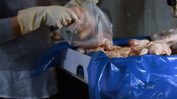 Closeup View of Hands in Gloves Packing Chicken Legs From a Box Into Individual Plastic Bags