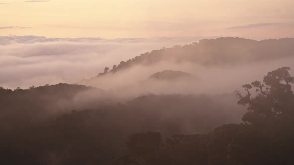 Timelapse of Costa Rica Rainforest Landscape, Nature Time Lapse of Misty Mountains and Rainforest wi