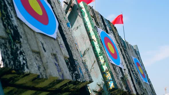 Targets with Arrows at a Shooting Range