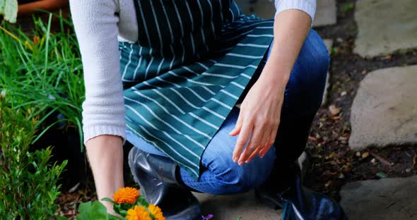 Portrait of mature woman holding pot plant