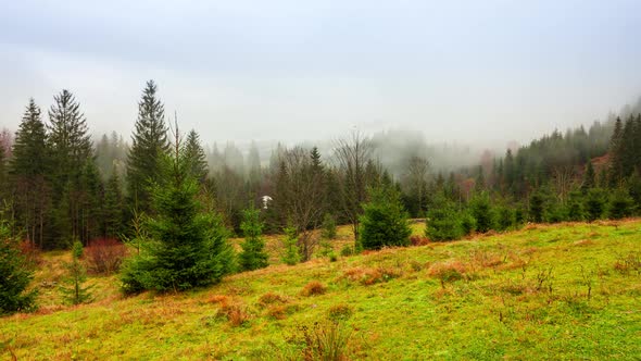 Ukraine Carpathians