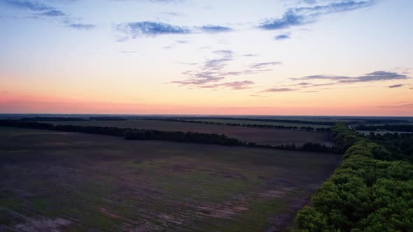 Drone Flight Over Green Grass Forest Landscape with Meadow and Trees