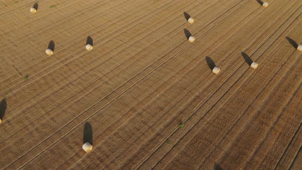 Hay bales in Friuli Venezia Giulia, Italy