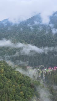 Vertical Video of Fog in the Mountains