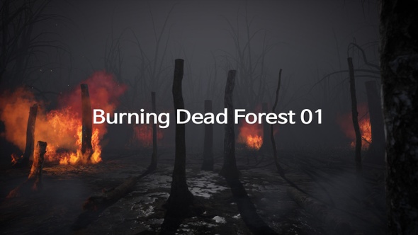 Burning Dead Forest 01