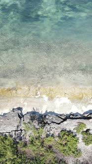 Vertical Video of the Ocean Near the Coast of Zanzibar Tanzania