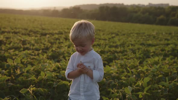 Happy Child in the Field