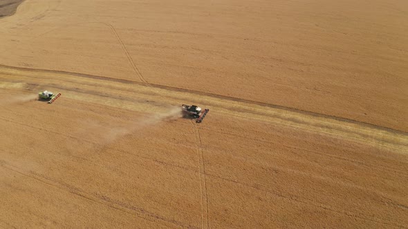 Aerial View of Two Combine on Harvest Field
