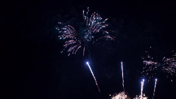 Colorful Firework display at night on sky background