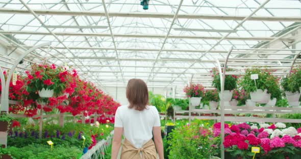 Female Florist Walking at Greenhouse with Colorful Flowers