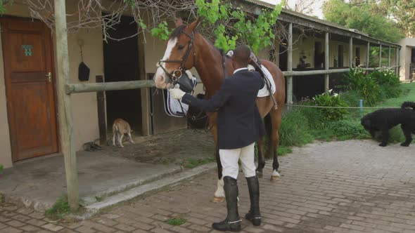 African American man ready to ride Dressage horse