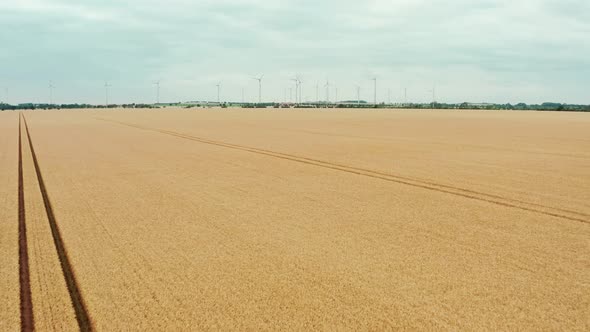 Central European Rural Landscape Organic Farming and Endless Wheat Fields with Wind Electricity