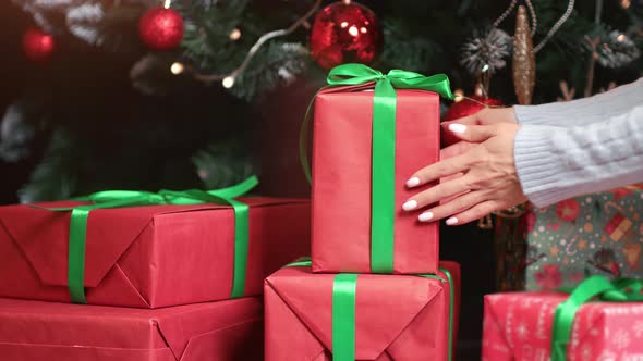 Female Hands Putting Red Wrapped Gift Box Under Christmas Tree