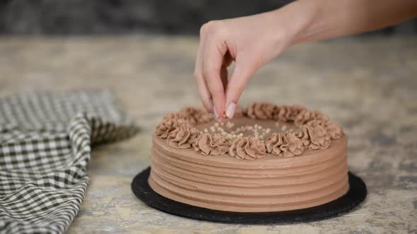 Close-up of sprinkle nuts on a cream of a chocolate sponge cake.