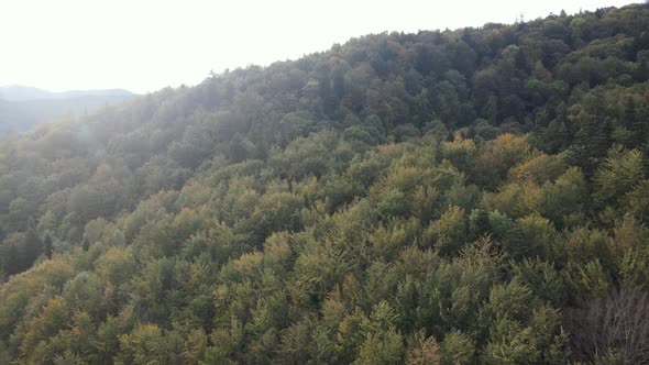 Aerial View of the Carpathian Mountains in Autumn. Ukraine