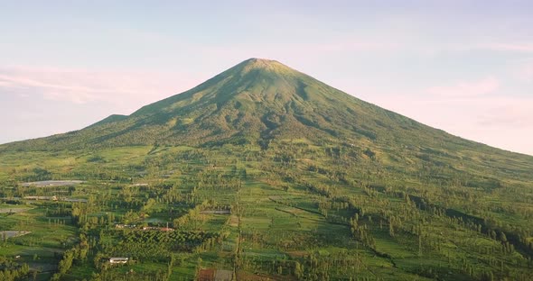 mount sindoro with rural view countryside. lush trees in plantations. beauty scene of landscape in W