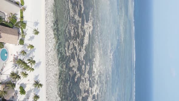 Zanzibar Tanzania  Vertical Video of Low Tide in the Ocean Near the Coast Slow Motion