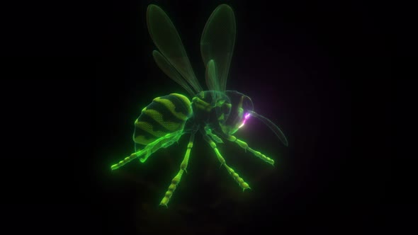 Wasp Or Hornet Digital Hud Hologram 4k