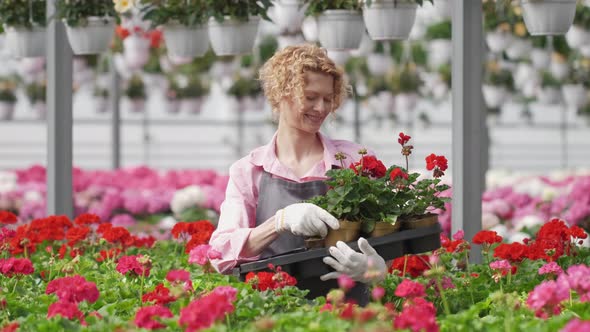 Beautiful Curly Woman Gardener is Holding a Pot with Beautiful Flowers