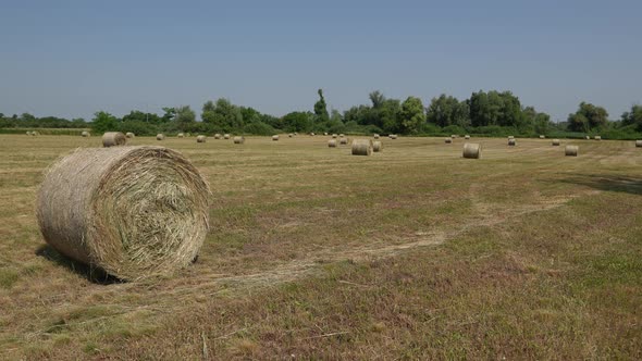 Straw Bales 16