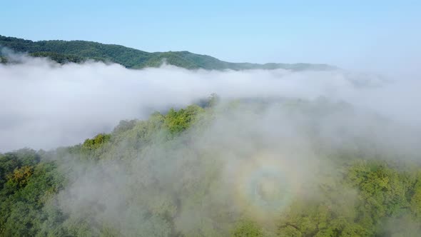 Foggy And Sunny Morning Over The Mountain Forest