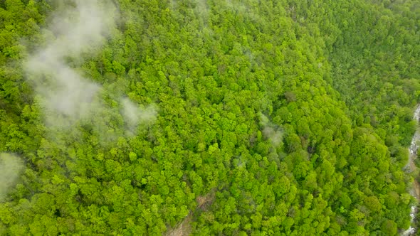 Flying over mountain forest and river