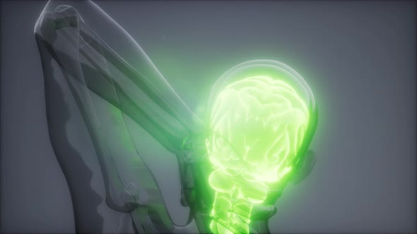 Backache in Back Bones alt