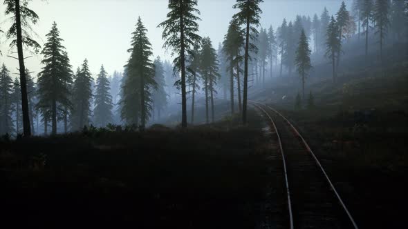 National Forest Recreation Area and the Fog with Railway