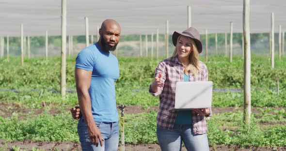 Video of diverse woman and man with laptop talking in greenhouse