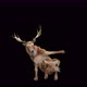 47 Deer Dancing 4K - VideoHive Item for Sale