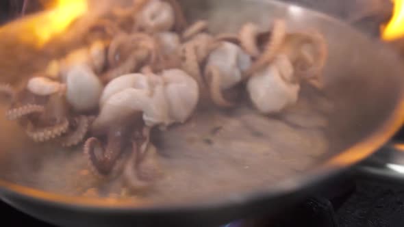 Preparing Exotic Fresh Octopuses with Oil and Thyme in Pan