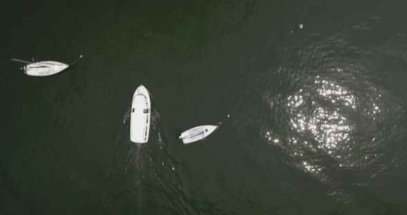 Top Down Panning View of a Passing Ferry Boat