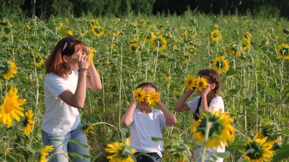Children with Mom Having Fun with Sunflowers