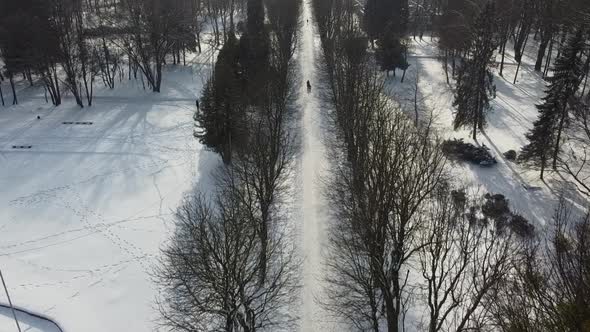 Aerial view of a drone flying over the winter park