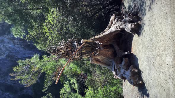 Wooden handmade statues in Goynuk Canyon